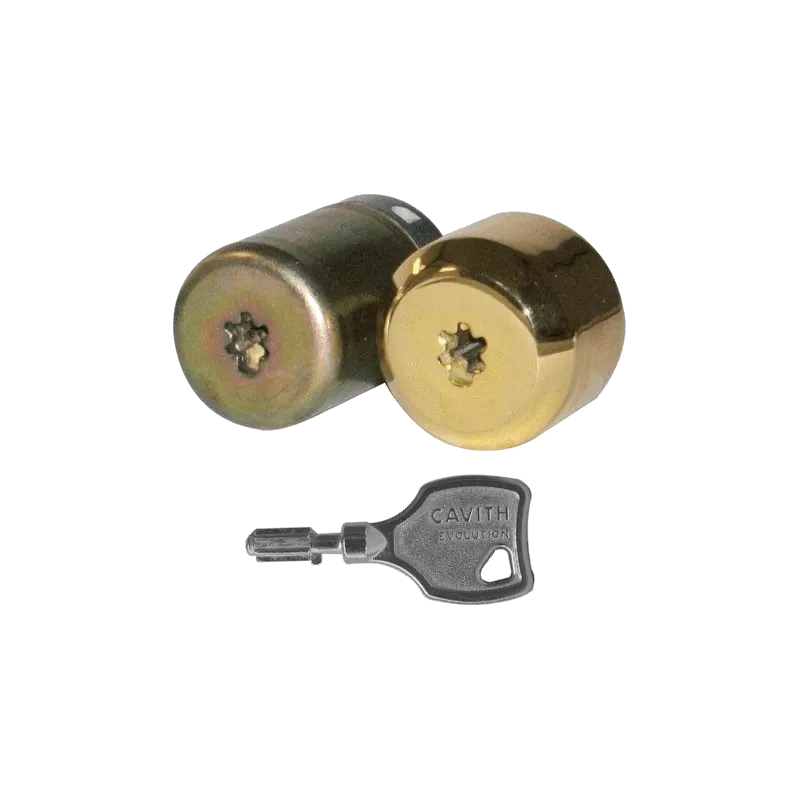 ISEO Cavers Cavith cylinders set