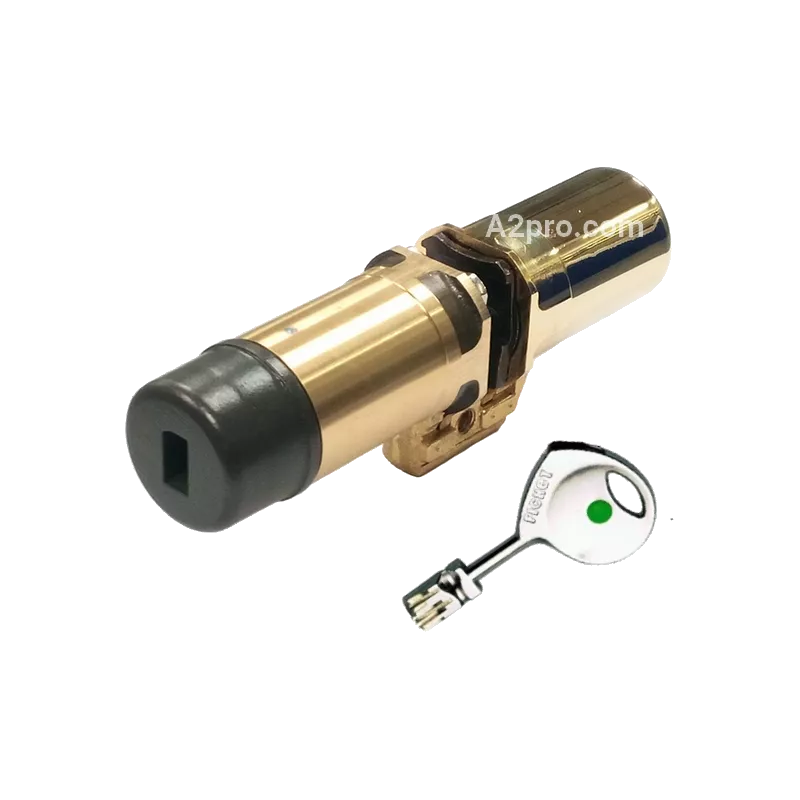 Fichet Monobloc Cylinder 787 Z a2p3*