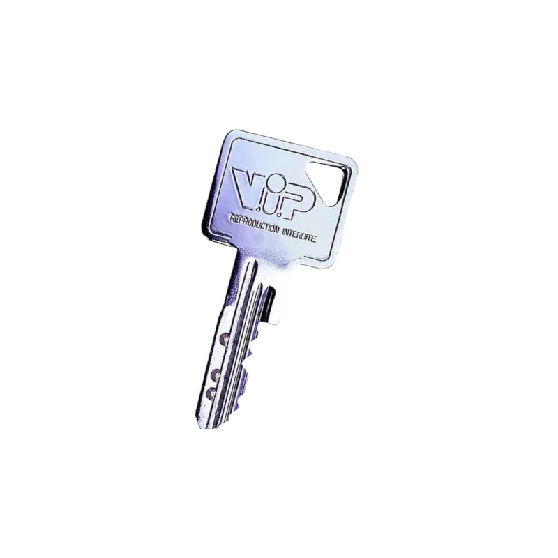 Duplicate Vachette key VIP Pro