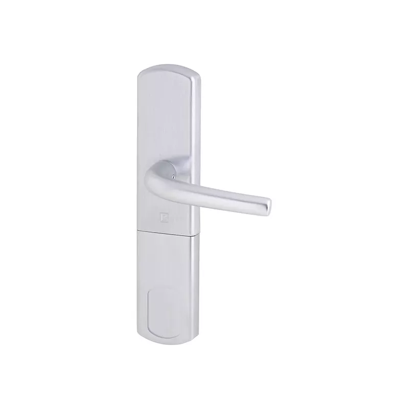 Poignée protège cylindre magnétique Heracles Salomé Grand format