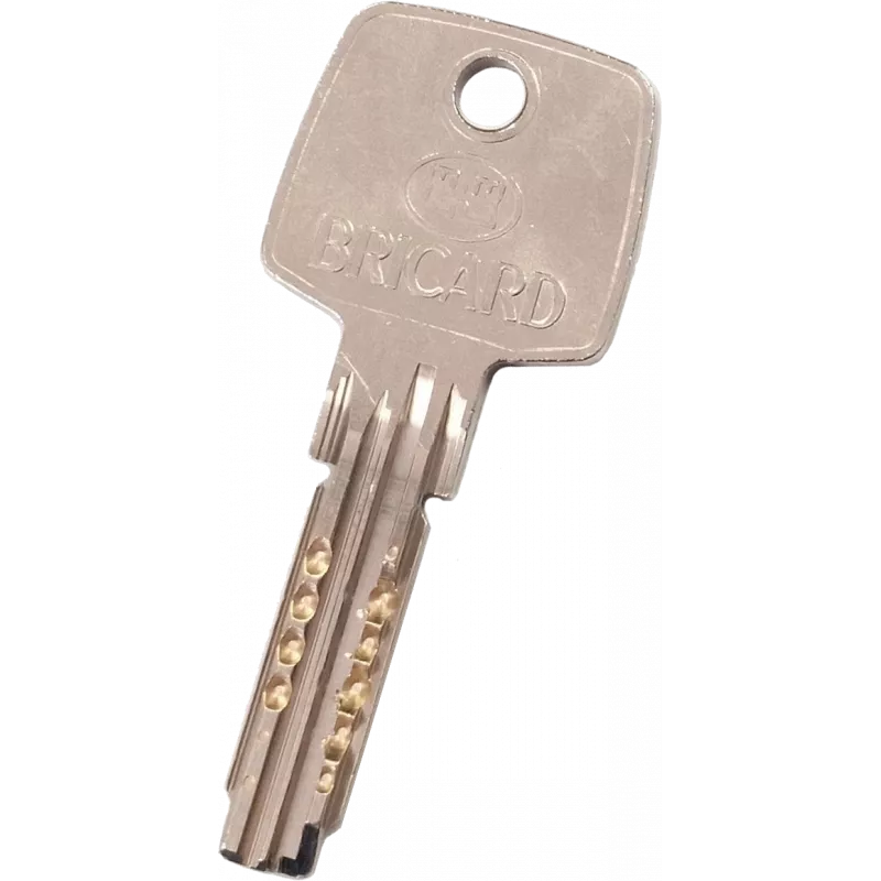 Bricard Astral Trial S 2.9 key duplicate