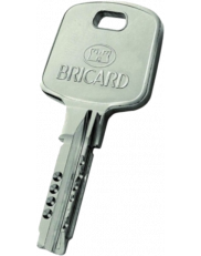 Bricard Serial S or XP pass key