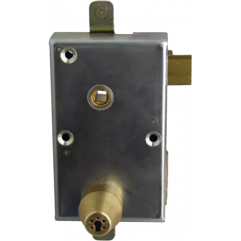 Mechanism for cased lock ISEO Cavers Styl Blind