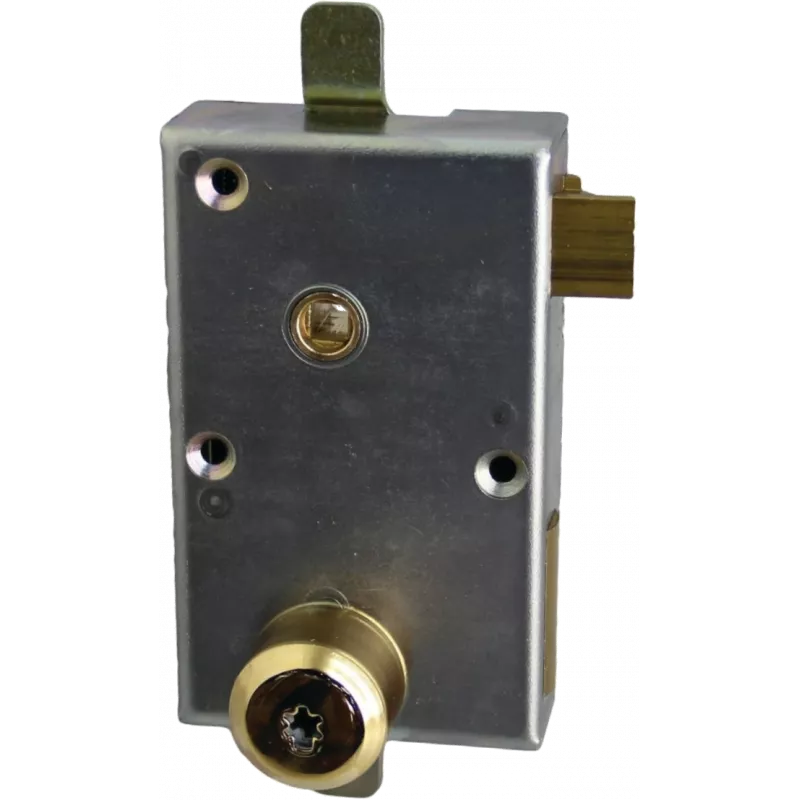 Mechanism for cased lock ISEO Cavers Styl Blind