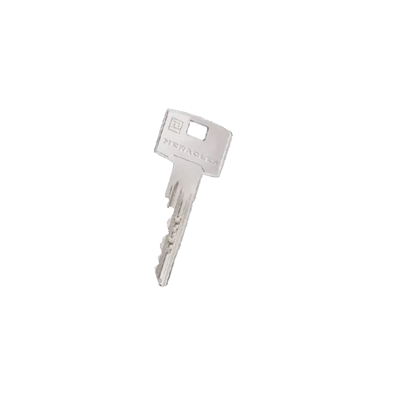 Double de clé Heracles HXP