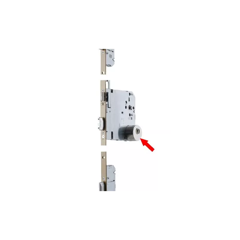 Protège cylindre pour serrure Vachette Trilock axe 120mm