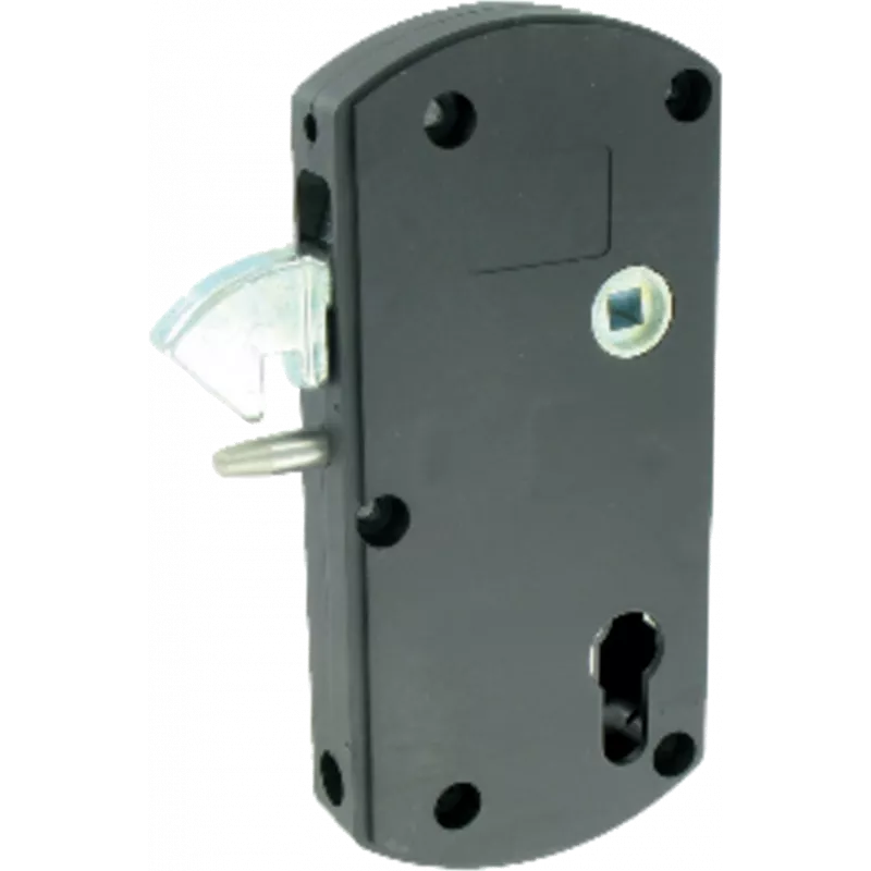Thirard - Modulox lock with lifting bolt for sliding gate
