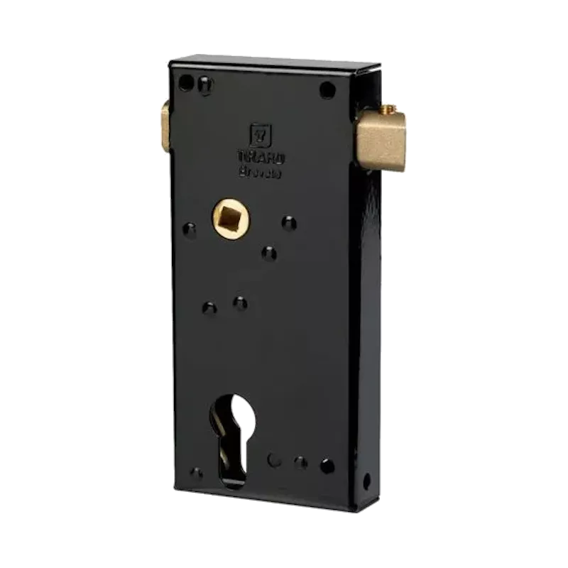 Thirard GE surface-mounted gate lock