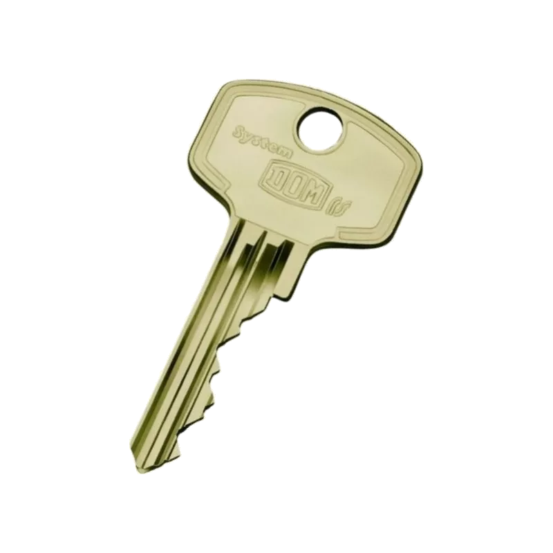 DOM RS5 duplicate key