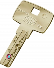 DOM IX6B duplicate key