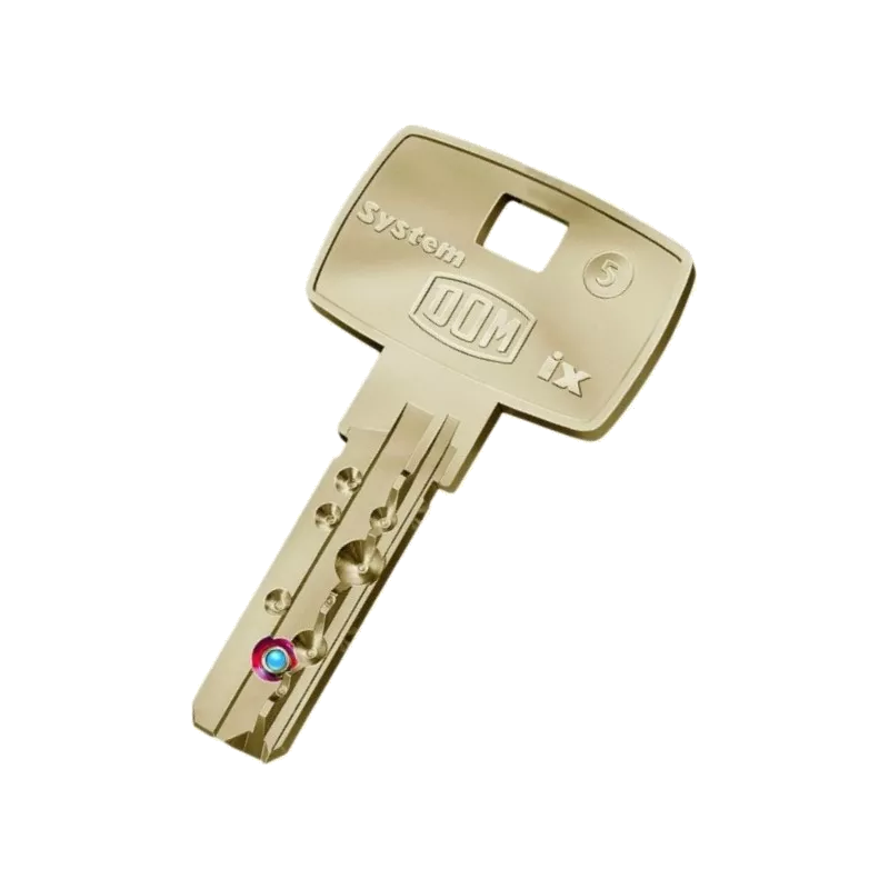 DOM IX6B duplicate key