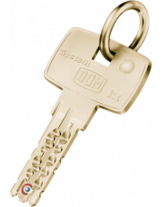 DOM IX10B duplicate key