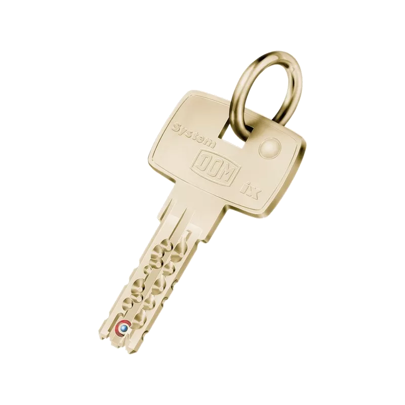 DOM IX10B duplicate key