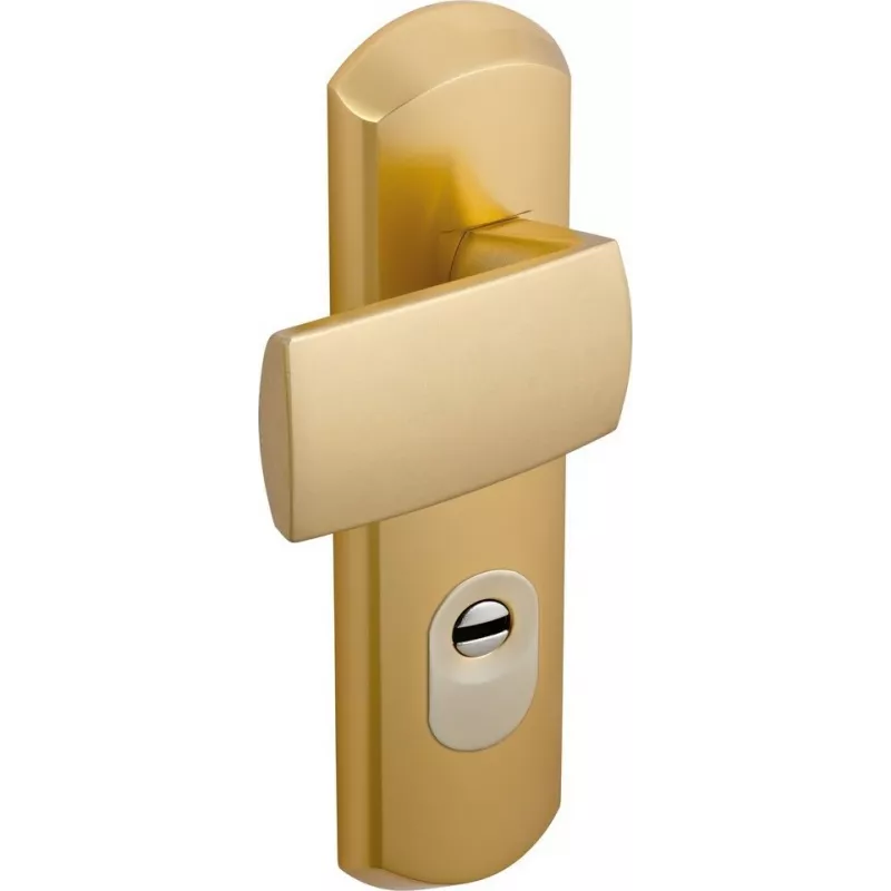 Vachette Laura armored handle a2p3