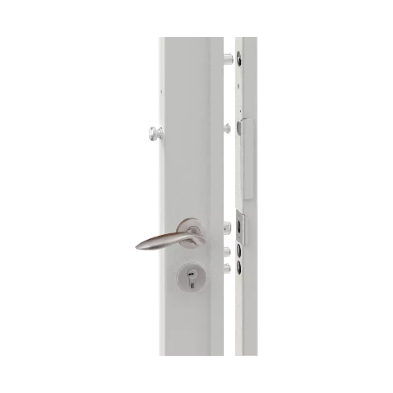 Cased multipoint surface-mounted lock Bricard Imperior