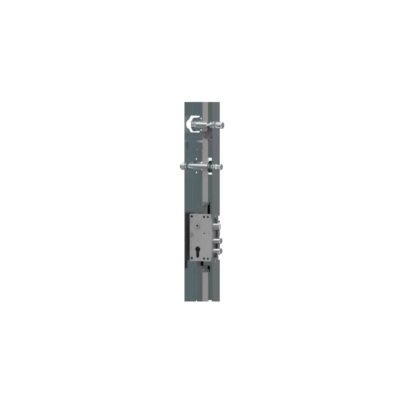 Cased multipoint surface-mounted lock Bricard Imperior