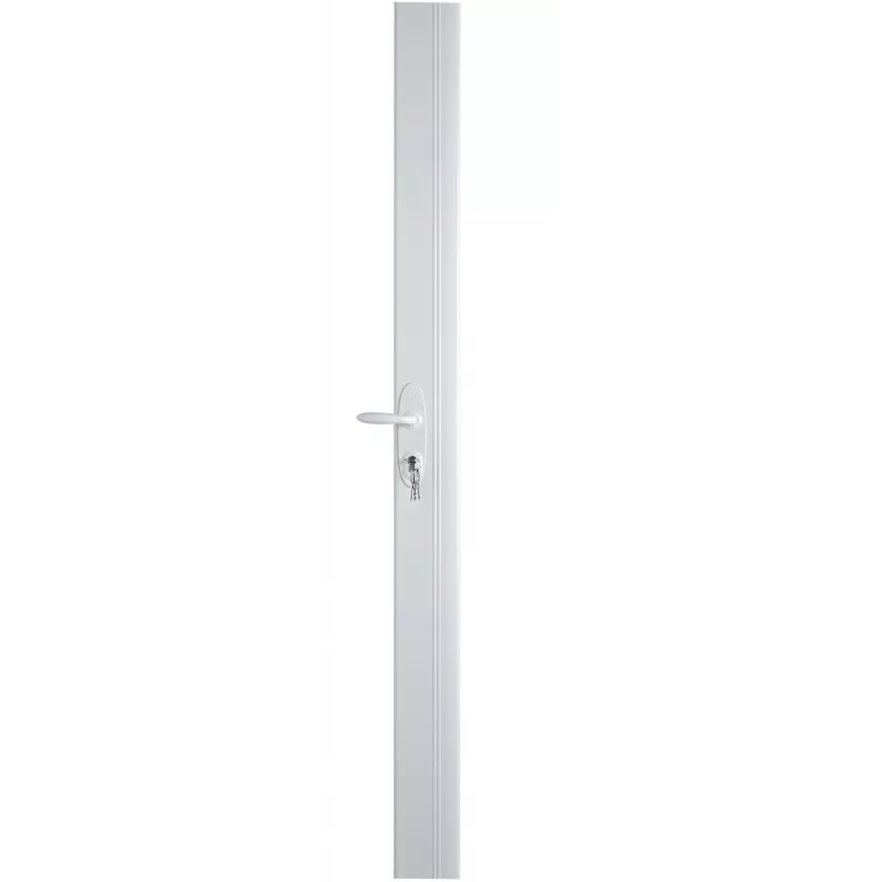 A2P1 streamlined multi-point rim lock