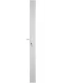 A2P1 streamlined multi-point rim lock