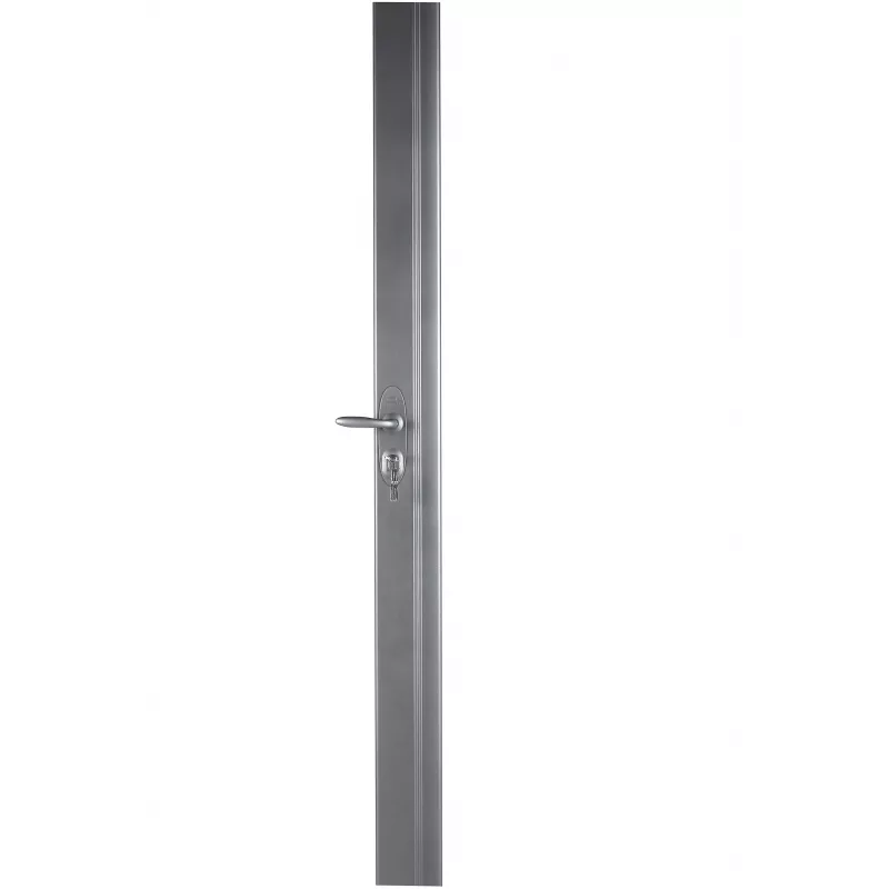 A2P1 streamlined multi-point rim lock