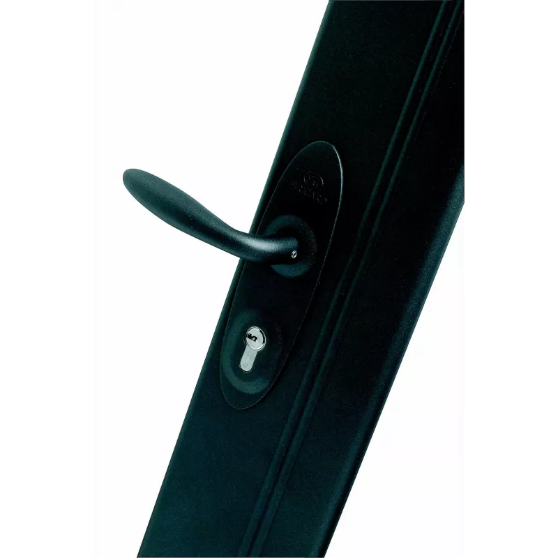 A2P1 streamlined multi-point rim lock