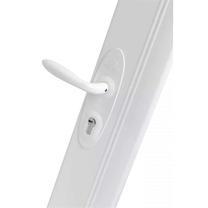 A2P1 streamlined multi-point rim lock