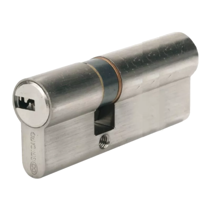 Specific cylinder BRICARD Serial for Vigiblock