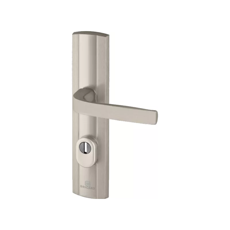 Armored Door handle Bricard Expression
