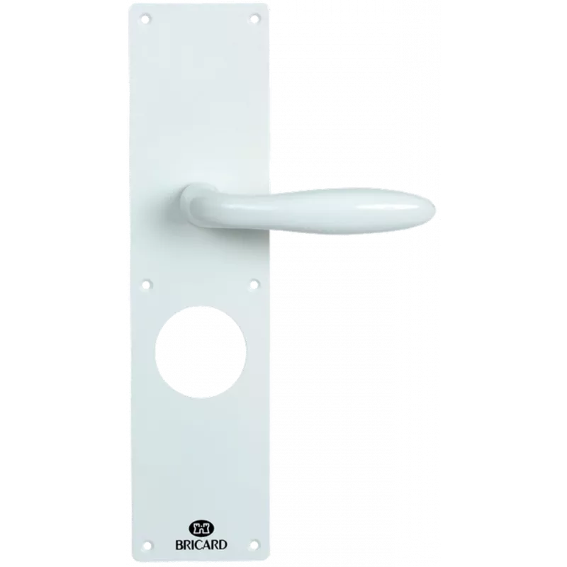 Door handle for Bricard Cerbère 3, Bastille 3 et série 73 locks