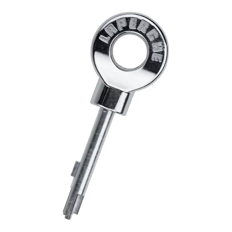 Laperche Rols duplicate key