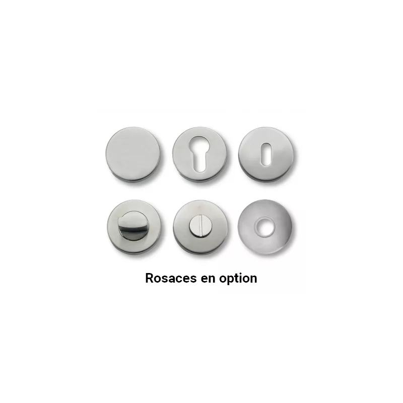 Handle set on rosette Bricard Gospel