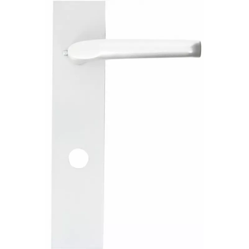 Handle for Fichet Sans Souci 690 (V01)