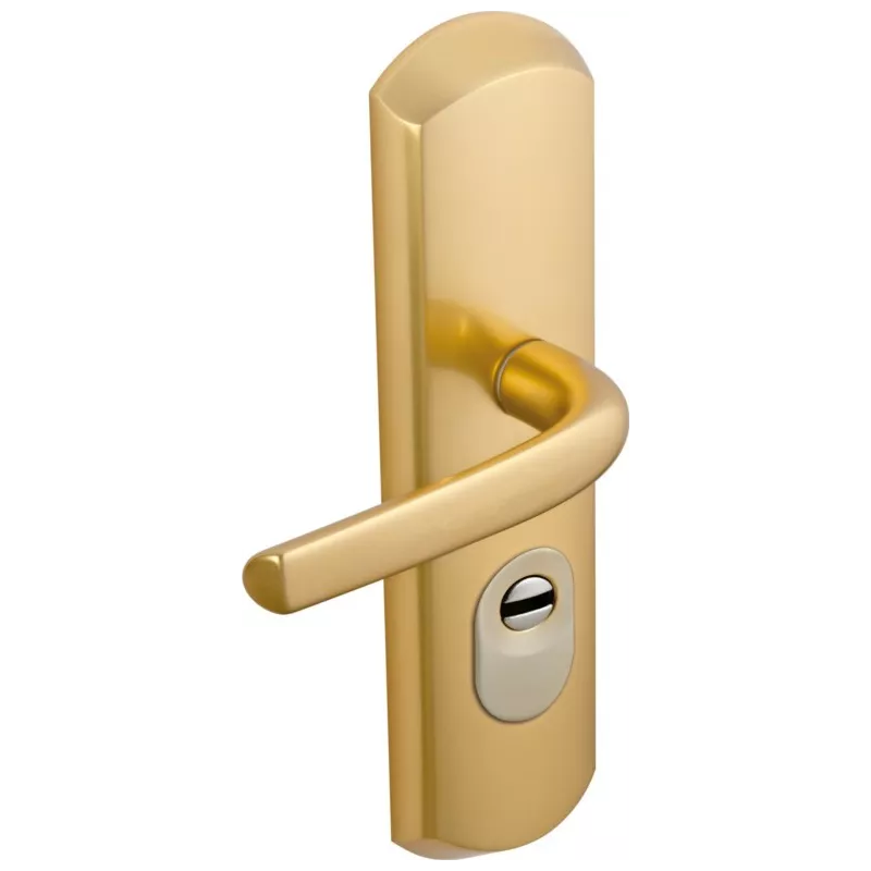 Vachette Julia a2p2 armored handle set