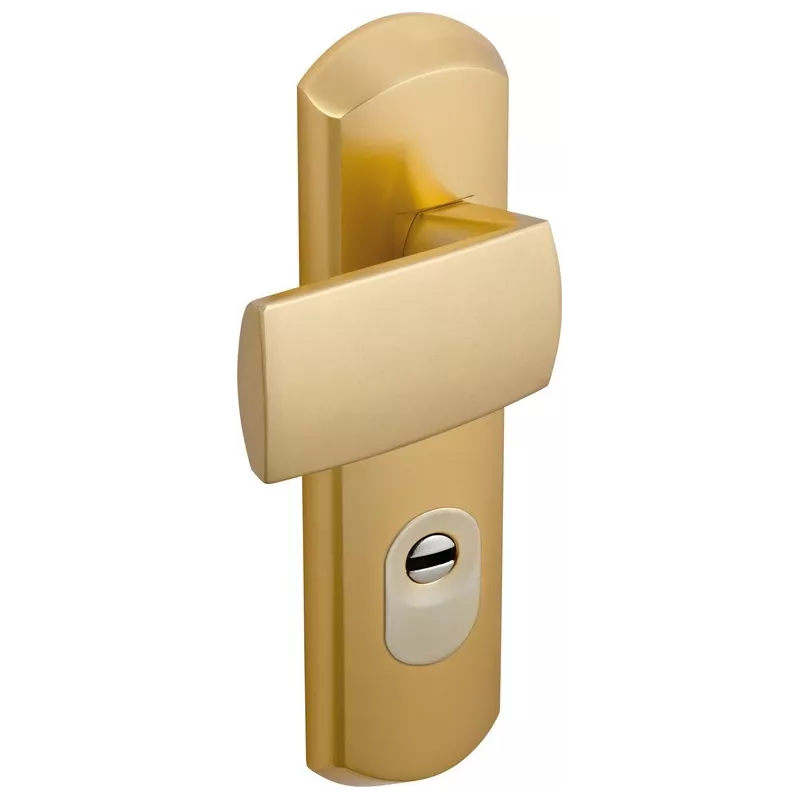 Vachette Julia a2p2 armored handle set