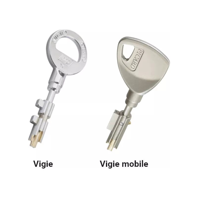 Serrure Picard Trident Vigie