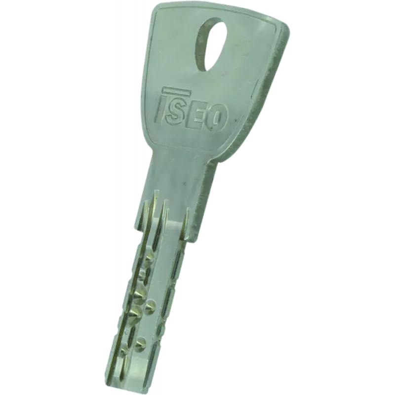 ISEO R9 Plus lock cylinder