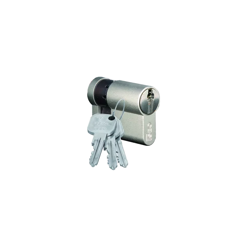 ISEO F9 Single-entry security lock cylinder