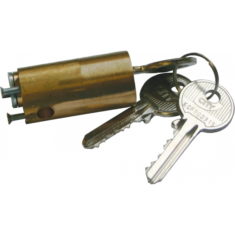 ISEO single cylinder for Arnov lock