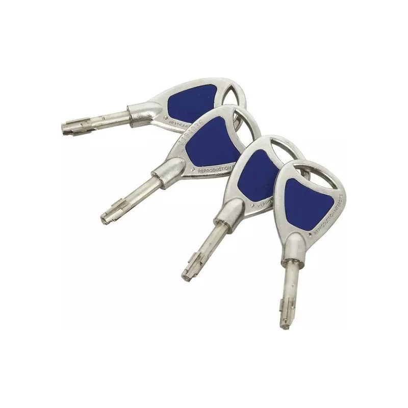 Cylindre Héraclès Cobra compatible Laperche