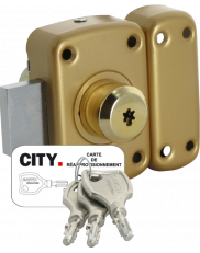 Iseo Cavith double input lock