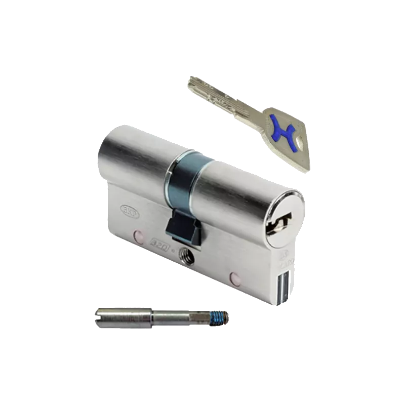 Bricard Dual XP S2 A2P1* cylinder for 8161 lock