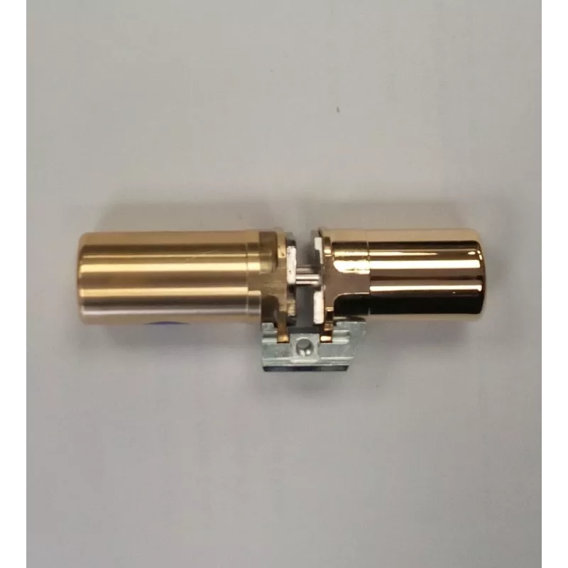Fichet 787 Z cylinder for Primlock or Foxeo S