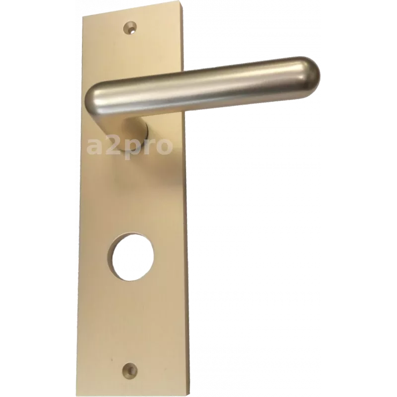 Internal hadle + cylinder protector for Fichet Forges P102 and P105