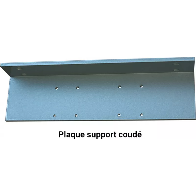 Plaque de support pour Groom GR300