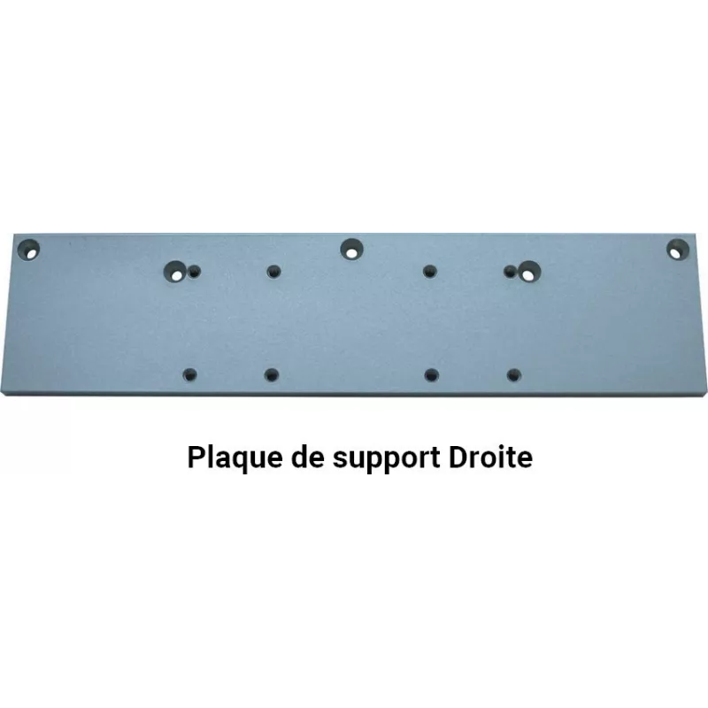 Plaque de support pour Groom GR300