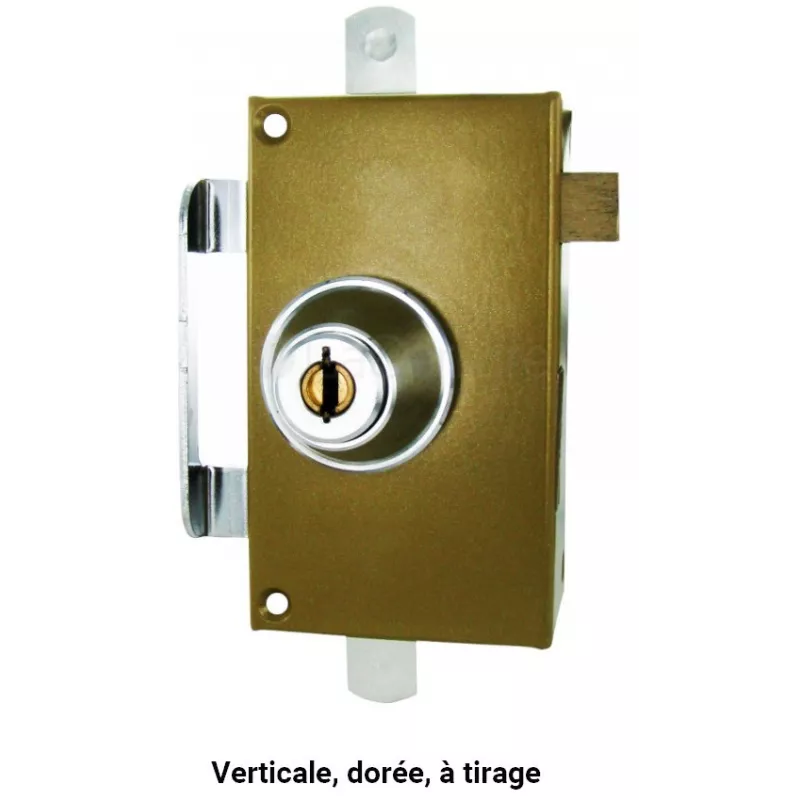 Central box of Picard Kleops vertical lock