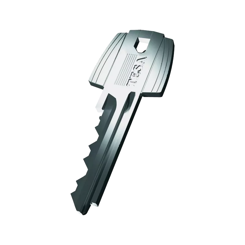 Tesa TE6 Duplicate Key