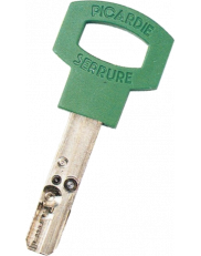 Carmine Gamma Duplicate Key