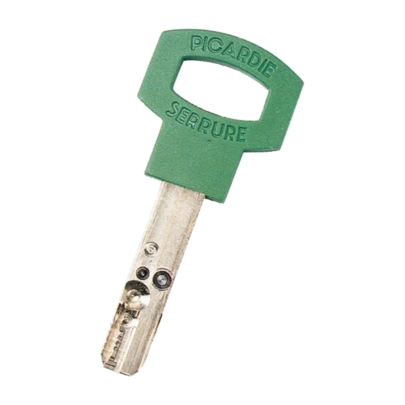 Carmine Gamma Duplicate Key