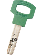Carmine Gamma Interactive Duplicate Key