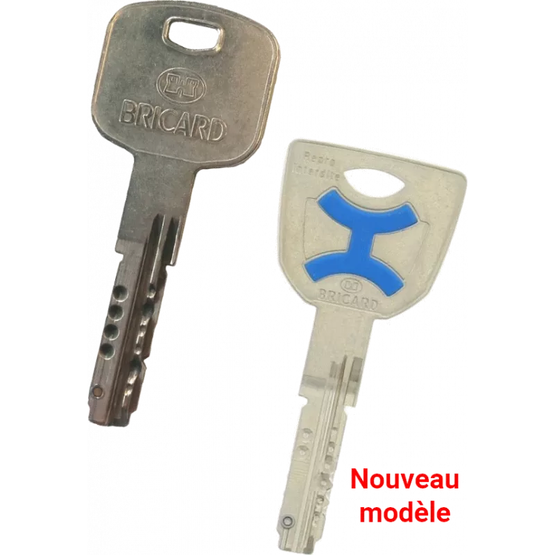 Double de clé Bricard Mistral S